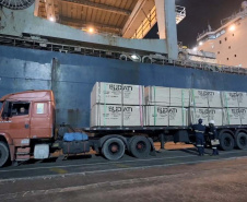 Madeira volta a ser embarcada direto no porão do navio no Porto de Paranaguá . Foto: Divulgação/TCP
