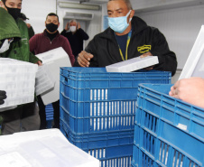 A Secretaria de Estado da Saúde recebeu 279.290 vacinas contra a Covid-19 na tarde desta sexta-feira (6), sendo 177.840 doses da Pfizer/BioNTech, 97.300 da AstraZeneca/Covax e 4.150 Janssen/Johnson & Johnson. Os imunizantes foram enviados via terrestre.  -  curitiba, 06/08/2021  -  Foto: Américo Antonio/SESA