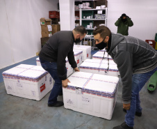 O Paraná recebeu mais 136.500 doses da AstraZeneca/Fiocruz na noite desta sexta-feira (6). Os imunizantes contra a Covid-19 chegaram no Aeroporto Internacional Afonso Pena, em São José dos Pinhais, por volta das 20 horas, complementando a 35ª pauta de distribuição do Ministério da Saúde.  -  Curitiba, 06/08/2021  - Foto: Ari Dias/AEN