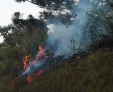 A estiagem severa que atinge o Paraná, aliada ao clima seco característico da estação e a vegetação ressecada por causa das geadas acendem um alerta no Estado para a ocorrência de incêndios florestais, com risco muito alto em todas as regiões.Foto:Gilson Abreu/AEN