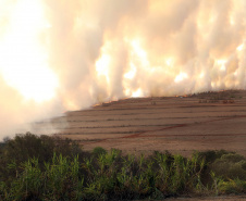 A estiagem severa que atinge o Paraná, aliada ao clima seco característico da estação e a vegetação ressecada por causa das geadas acendem um alerta no Estado para a ocorrência de incêndios florestais, com risco muito alto em todas as regiões.Foto:Gilson Abreu/AEN