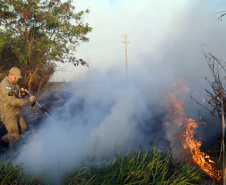 A estiagem severa que atinge o Paraná, aliada ao clima seco característico da estação e a vegetação ressecada por causa das geadas acendem um alerta no Estado para a ocorrência de incêndios florestais, com risco muito alto em todas as regiões.Foto:Gilson Abreu/AEN