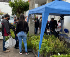 
Cerca de 300 famílias de Bandeirantes recebem doações arrecadadas pelo IAT Foto: IAT