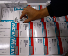 Ministério da Saúde confirma novo lote com 108.810 vacinas contra a Covid-19 para o Paraná   Foto: Jonathan Campos/AEN