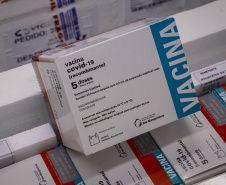Ministério da Saúde confirma novo lote com 108.810 vacinas contra a Covid-19 para o Paraná
Foto Gilson Abreu/AEN