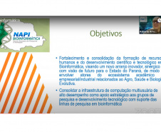 A Fundação Araucária e a Superintendência da Ciência, Tecnologia e Ensino Superior (SETI) realizaram, nos últimos dias, a cerimônia online de lançamento do NAPI Bioinformática.  -  Curitiba, 12/08/2021  -  Foto: Fundação Araucária