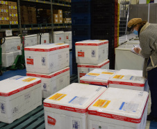 A Secretaria de Estado da Saúde (Sesa) iniciou na manhã desta quinta-feira (12) a distribuição de mais 50.310 vacinas contra a Covid-19 para primeira dose (D1) na população adulta. Os imunizantes da Pfizer/BioNTech chegaram ao Paraná nesta quarta-feira (11) à noite e fazem parte da 37ª pauta de distribuição do Ministério da Saúde. -  Curitiba, 12/08/2021  -  Foto: Américo Antonio/SESA