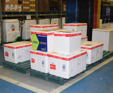 A Secretaria de Estado da Saúde (Sesa) iniciou na manhã desta quinta-feira (12) a distribuição de mais 50.310 vacinas contra a Covid-19 para primeira dose (D1) na população adulta. Os imunizantes da Pfizer/BioNTech chegaram ao Paraná nesta quarta-feira (11) à noite e fazem parte da 37ª pauta de distribuição do Ministério da Saúde. -  Curitiba, 12/08/2021  -  Foto: Américo Antonio/SESA