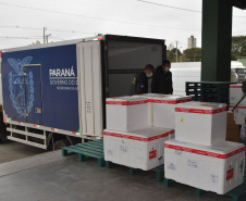 A Secretaria de Estado da Saúde (Sesa) iniciou na manhã desta quinta-feira (12) a distribuição de mais 50.310 vacinas contra a Covid-19 para primeira dose (D1) na população adulta. Os imunizantes da Pfizer/BioNTech chegaram ao Paraná nesta quarta-feira (11) à noite e fazem parte da 37ª pauta de distribuição do Ministério da Saúde. -  Curitiba, 12/08/2021  -  Foto: Américo Antonio/SESA