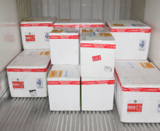 A Secretaria de Estado da Saúde (Sesa) iniciou na manhã desta quinta-feira (12) a distribuição de mais 50.310 vacinas contra a Covid-19 para primeira dose (D1) na população adulta. Os imunizantes da Pfizer/BioNTech chegaram ao Paraná nesta quarta-feira (11) à noite e fazem parte da 37ª pauta de distribuição do Ministério da Saúde. -  Curitiba, 12/08/2021  -  Foto: Américo Antonio/SESA