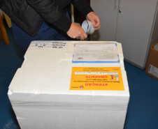 A Secretaria de Estado da Saúde (Sesa) iniciou na manhã desta quinta-feira (12) a distribuição de mais 50.310 vacinas contra a Covid-19 para primeira dose (D1) na população adulta. Os imunizantes da Pfizer/BioNTech chegaram ao Paraná nesta quarta-feira (11) à noite e fazem parte da 37ª pauta de distribuição do Ministério da Saúde. -  Curitiba, 12/08/2021  -  Foto: Américo Antonio/SESA
