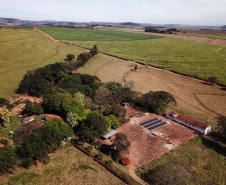 Tecnologia e produtividade fazem a cana-de-açúcar voltar a brilhar no Norte Pioneiro. Foto: José Fernando Ogura/AEN