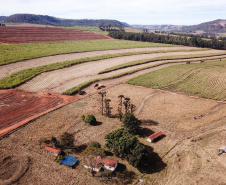 Tecnologia e produtividade fazem a cana-de-açúcar voltar a brilhar no Norte Pioneiro. Foto: José Fernando Ogura/AEN