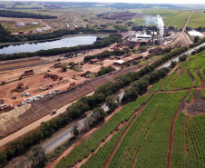 Tecnologia e produtividade fazem a cana-de-açúcar voltar a brilhar no Norte Pioneiro. Foto: José Fernando Ogura/AEN