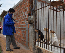 A presença de animais de estimação nos domicílios ganhou destaque ao longo da pandemia, sendo a companhia fiel de muitas famílias. Mas especialmente os cães, presentes em 57% dos lares na região Sul do Brasil segundo o IBGE, demandam atenção especial dos donos para que não ocorram acidentes. -  Curitiba, 16/08/2021  -  Foto: Rakelly Calliari/COPEL