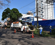 Mutirão da Copel promoveu inspeção e limpeza das rede. Foto: Rakelly Calliari/COPEL