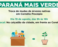 Moradores de Cornélio Procópio podem trocar alimentos por mudas de árvores nativas  -  Foto: SEDEST