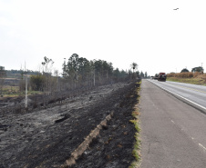 Desligamentos por queimadas aumentam 30% no Paraná Foto COPEL