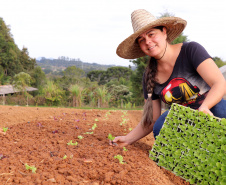 Maisa de Amorin Valoski, produtora de orgânios no bairro Colônia Muricy, em São José dos Pinhais -  Foto: TECPAR