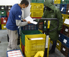 Estado distribui 445.388 vacinas contra a Covid-19 e 49.750 medicamentos para intubação; veja divisão. Foto: Américo Antonio/SESA