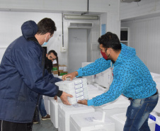 Chegaram no Paraná, na noite deste domingo (22), 107.640 doses do imunizante Cominarty, produzidos pela Pfizer/BioNTech. Esta é a segunda parte do 42° lote de vacinas contra Covid-19 enviado pelo Ministério da Saúde, que contempla 435.290 novas doses para o Estado.  -  Curitiba, 22/08/2021  -  Foto: Américo Antonio/SESA