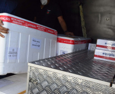 Paraná distribui nesta segunda-feira 223.268 doses de vacinas contra a Covid-19. Foto: Américo Antonio/SESA