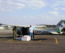 Paraná distribui nesta segunda-feira 223.268 doses de vacinas contra a Covid-19. Foto: Américo Antonio/SESA