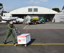 Paraná distribui nesta segunda-feira 223.268 doses de vacinas contra a Covid-19. Foto: Américo Antonio/SESA