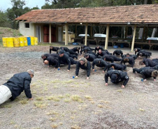 Agentes penitenciários de todo o Estado participaram de um curso de Tecnologias Não Letais (TNL) ofertado pela Condor em parceria com a Escola de Formação e Aperfeiçoamento Penitenciário (Espen). Ao todo, 32 profissionais tiveram aulas teóricas e práticas que aconteceram no Complexo Penitenciário de Piraquara, na Região Metropolitana de Curitiba.   -  Curitiba, 23/08/2021  -  Foto: DEPEN-PR