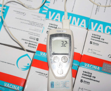 Estado recebe mais 232.250 vacinas contra a Covid-19; lote completa remessa de 435.290 doses. Foto: Américo Antonio/SESA