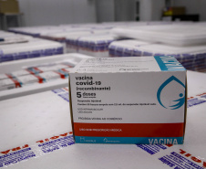 Estado recebe mais 232.250 vacinas contra a Covid-19; lote completa remessa de 435.290 dosesFoto: Gilson Abreu/AEN