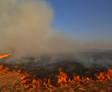  Impacto da seca vai além do abastecimento de água. Foto: Gilson Abreu/AEN