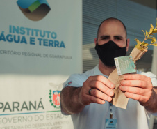 A distribuição de mudas nativas pela Campanha Floresce Paraná, nesta sexta-feira (27), acontece em 21 pontos do Estado, além de Curitiba. A campanha, realizada no Dia Nacional do Voluntariado, tem o objetivo de promover a educação ambiental e despertar o interesse do cidadão de ser um voluntário, plantando uma árvore nativa. -  Curitiba, 26/08/2021  -  Foto: SEDEST
