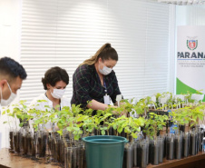 A distribuição de mudas nativas por meio da Campanha Floresce Paraná, nesta sexta-feira (27), acontecerá em 21 pontos do Estado, além de Curitiba. A ação, realizada no Dia Nacional do Voluntariado, tem o objetivo de promover a educação ambiental e despertar o interesse do cidadão de ser um voluntário plantando uma árvore nativa.
