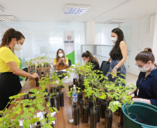 A distribuição de mudas nativas por meio da Campanha Floresce Paraná, nesta sexta-feira (27), acontecerá em 21 pontos do Estado, além de Curitiba.
“O Floresce Paraná vem simbolizar o florescer do nosso Estado, na economia, saúde, no meio ambiente e em todas as áreas”, disse Luciana Saito Massa, primeira-dama do Paraná e presidente do Conselho de Ação Solidária.  Foto: Valdelino Pontes