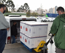 Paraná recebe 190 mil doses de vacinas contra a Covid-19. Foto: Américo Antonio/SESA