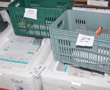 Mais de meio milhão de vacinas contra a Covid-19 serão distribuídas nesta sexta-feira. Foto: Américo Antonio/SESA