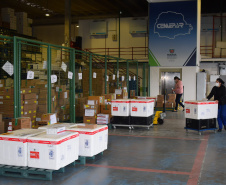Mais de meio milhão de vacinas contra a Covid-19 serão distribuídas nesta sexta-feira. Foto: Américo Antonio/SESA