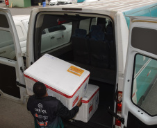Mais de meio milhão de vacinas contra a Covid-19 serão distribuídas nesta sexta-feira. Foto: Américo Antonio/SESA