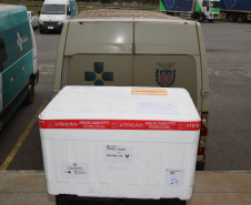 Mais de meio milhão de vacinas contra a Covid-19 serão distribuídas nesta sexta-feira. Foto: Américo Antonio/SESA