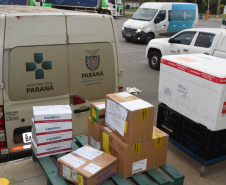 Mais de meio milhão de vacinas contra a Covid-19 serão distribuídas nesta sexta-feira. Foto: Américo Antonio/SESA
