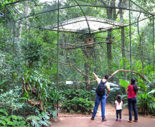 Tem praia, tem trilha, lugar para a família, cultura e aventura. Tem emoção, comida boa, rio e lagoa. Esse é um dos trechos da trilha sonora que embala a campanha de marketing da retomada do turismo no Paraná. Na foto, Foz do Iguaçu - Parque das Aves. Foto: José Fernando Ogura/AEN