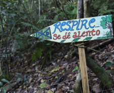 Tem praia, tem trilha, lugar para a família, cultura e aventura. Tem emoção, comida boa, rio e lagoa. Esse é um dos trechos da trilha sonora que embala a campanha de marketing da retomada do turismo no Paraná.  Na foto, Foz do Iguaçu - Trilha do Índio. Foto: José Fernando Ogura/AEN