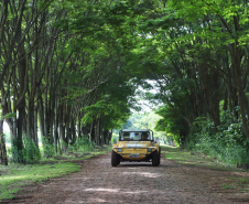 Tem praia, tem trilha, lugar para a família, cultura e aventura. Tem emoção, comida boa, rio e lagoa. Esse é um dos trechos da trilha sonora que embala a campanha de marketing da retomada do turismo no Paraná. Na foto, Itaipulândia. Foto: José Fernando Ogura/AEN