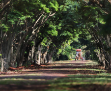 Tem praia, tem trilha, lugar para a família, cultura e aventura. Tem emoção, comida boa, rio e lagoa. Esse é um dos trechos da trilha sonora que embala a campanha de marketing da retomada do turismo no Paraná. Na foto, Itaipulândia. Foto: José Fernando Ogura/AEN