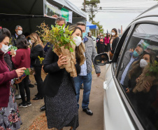 A primeira-dama Luciana Saito Massa, que preside o Conselho de Ação Solidária, e o secretário de Desenvolvimento Sustentável e do Turismo, Márcio Nunes, participam  da distribuição de mudas da campanha Floresce Paraná.F oto: Ari Dias/AEN