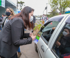 A primeira-dama Luciana Saito Massa, que preside o Conselho de Ação Solidária, e o secretário de Desenvolvimento Sustentável e do Turismo, Márcio Nunes, participam  da distribuição de mudas da campanha Floresce Paraná.F oto: Valdelino Pontes