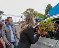 A primeira-dama Luciana Saito Massa, que preside o Conselho de Ação Solidária, e o secretário de Desenvolvimento Sustentável e do Turismo, Márcio Nunes, participam  da distribuição de mudas da campanha Floresce Paraná.F oto: Valdelino Pontes