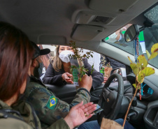 A primeira-dama Luciana Saito Massa, que preside o Conselho de Ação Solidária, e o secretário de Desenvolvimento Sustentável e do Turismo, Márcio Nunes, participam  da distribuição de mudas da campanha Floresce Paraná.F oto: Valdelino Pontes