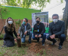 A primeira-dama Luciana Saito Massa, que preside o Conselho de Ação Solidária, e o secretário de Desenvolvimento Sustentável e do Turismo, Márcio Nunes, participam  da distribuição de mudas da campanha Floresce Paraná.F oto: Valdelino Pontes